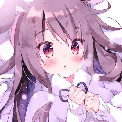 普京总统车车牌3个8